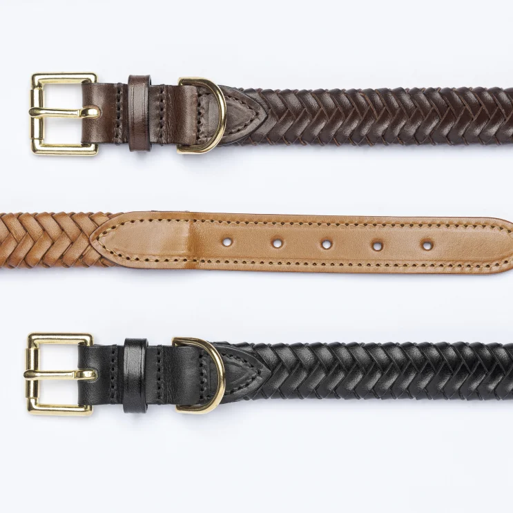 Plaited Dog Collar in Vegetable Tan Leather collection